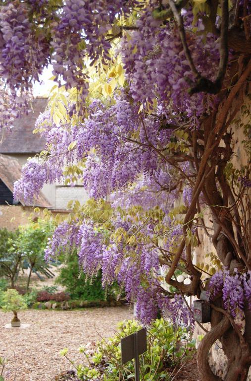La Chaiserie La Croix-Saint-Leufroy ภายนอก รูปภาพ